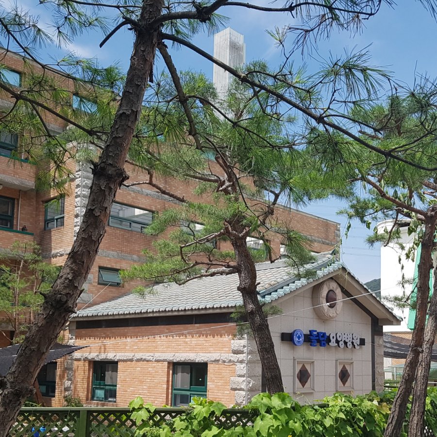 돌담요양병원 전경